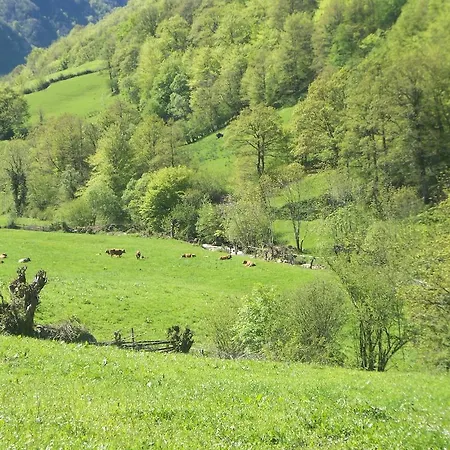 Hébergement de vacances Venta La Aurora Beleño