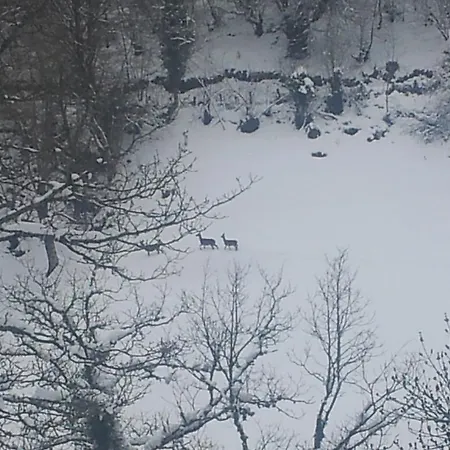 Hébergement de vacances Venta La Aurora *